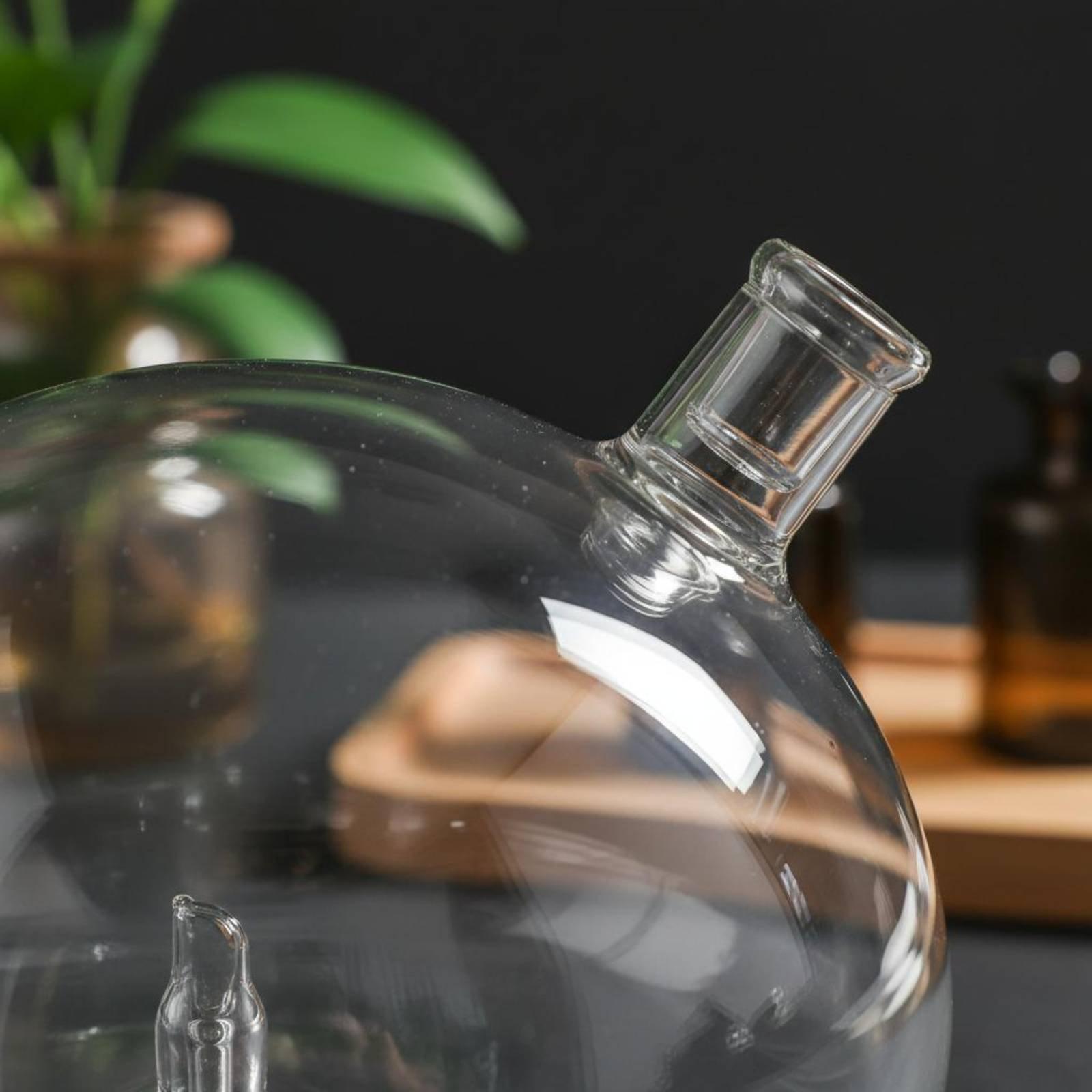 Botella Difusora de Vidrio de  - Home Fragrance Us reseña y precio